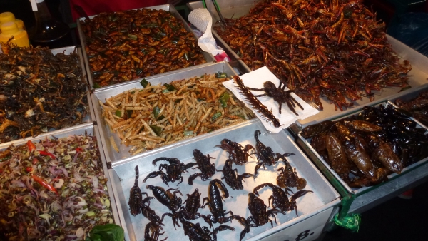 insects khaosan bangkok